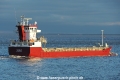 Tasman JG-171123-2.jpg