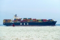 MSC Sao Paulo (KK-070819-1).jpg