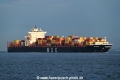 MSC Tracy V OS-161022-09.jpg