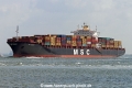 MSC Sariska SH-090814-01.jpg