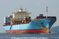 MSC Sariska (KB-D240811-01).jpg