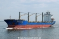 Star Dalmatia HK-270624-1.jpg