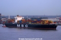 MSC Viviana (070803-5).jpg