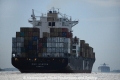 MSC Sandra 011012-11.jpg