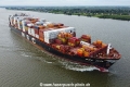 MSC Vita TL-230824-4.jpg