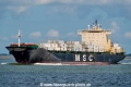 MSC Shannon III SH-150625-01.jpg