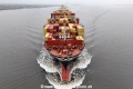 MSC York VII KH-210125-5.jpg