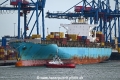 MSC Yamuna VI OS-230723-10.jpg
