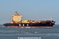 MSC Singapore IV HK-030425-2.jpg