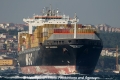 MSC Vanessa (250706-07-MS).jpg