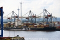 MSC Tamara 090813.jpg