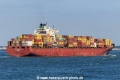 MSC Shanelle 5 SH-100823-01.jpg
