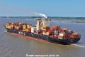 MSC Vilda X KH-120625-11.jpg
