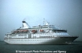 Royal Majesty (K190892).jpg
