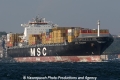 MSC Vanessa (250706-10-MS).jpg