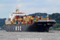 MSC Sarah TL-160714-1.jpg