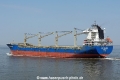 Star Dalmatia HK-270624-2.jpg