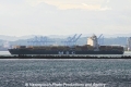 MSC Tamara OS-250811-03.jpg