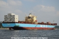 MSC Sariska (KB-D240811-04).jpg