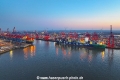 Eurogate-Hamburg 27325.jpg