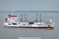 Orange Stream HK-150823.jpg