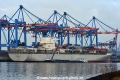 Bremen Belle (KB-D271118-02).jpg