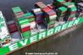 Evergreen-Rumpflogo 3824.jpg