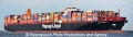 Basle Express  TS2-291212-1.jpg