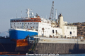 Kiara TJ-260917-001.jpg