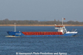 Arctica Hav (MB-020409-2).jpg