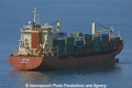 Astor (MS-300710-04).jpg