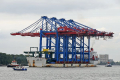 Zhen Hua 8 190908-01.jpg
