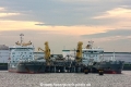 Excello + Solero (MM-141114-1).jpg