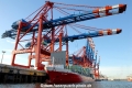 Eurogate-HH 271107.jpg
