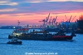 Ijsseldelta 081216-02.jpg