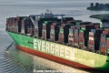 Evergreen-Rumpfschrift 7624.jpg