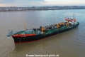 Ijsseldelta 081220-05.jpg