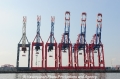 Eurogate-Conbruecken-HH 14412.jpg