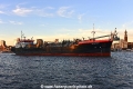 Ijsseldelta 281116-09.jpg