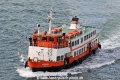 Madragoa 270409-01.jpg