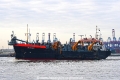 Ijsseldelta 231116-02.jpg