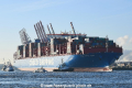 Cosco Shipping Aries 230218-15.jpg
