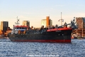Ijsseldelta 281116-08.jpg