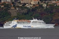 Lobo Marinho 070706-5.jpg
