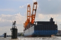 Finkenwerder Pfaehle 24908.jpg