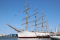 Viking TL-010623-1.jpg