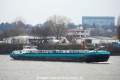 Steinburg 290116.jpg
