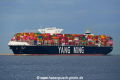 YM Wisdom (KK-120419-2).jpg