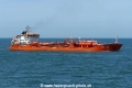 T Procyon (MB-180723-1).jpg