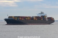 Northern Jade JG-301219-01.jpg